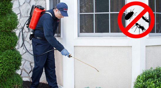 Pozantı Haşere İlaçlama böcek ilaçlama ve haşere kontrolü — ilaclama-tr.com